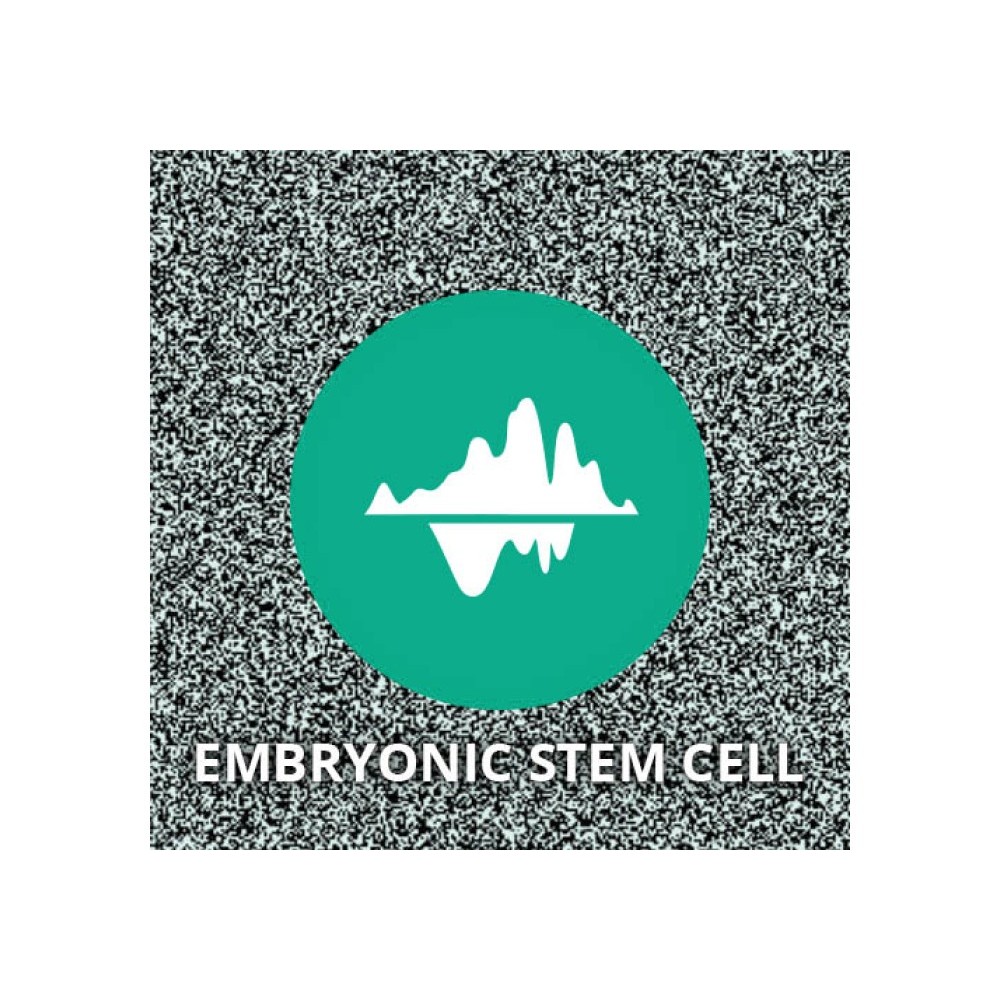 DIGITIZED BIOHOLOGRAM OF THE EMBRYONIC STEM CELL